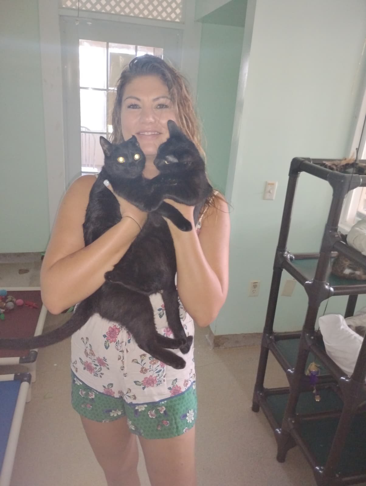 ZenWaves massage and wellness in St. Thomas